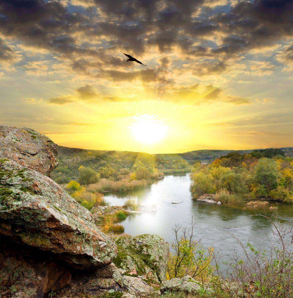 

Фотообои Walldeco Горный ручей №5628 Деко