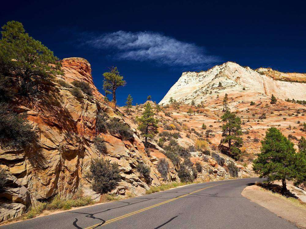 

Фотообои Walldeco Дорога и небо №0418 Лоск