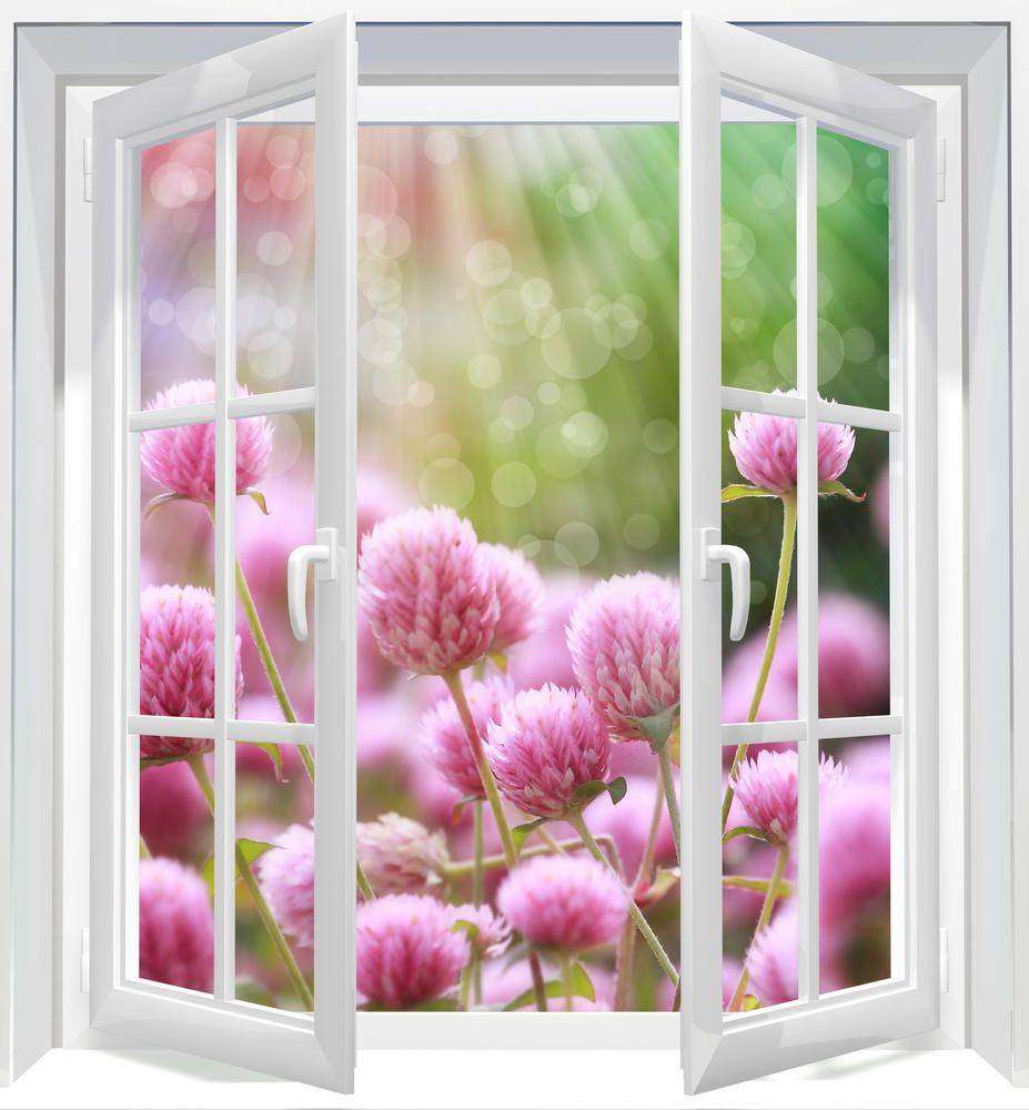 

Фотообои Walldeco Вид на цветы №w_6088_5159 Бриз