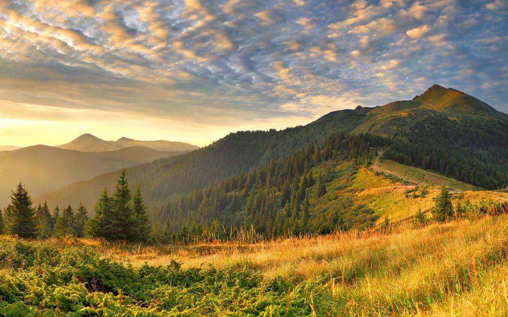 

Фотообои Walldeco Горы и облака №0381 Жаккард