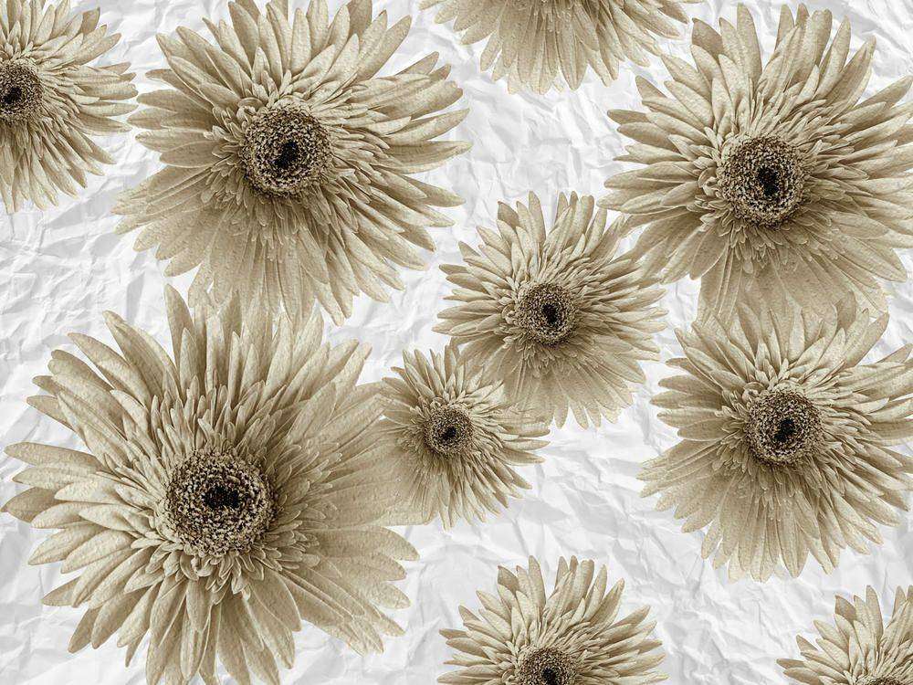 

Фотообои Walldeco Коричневые цветы №23580 Волокно