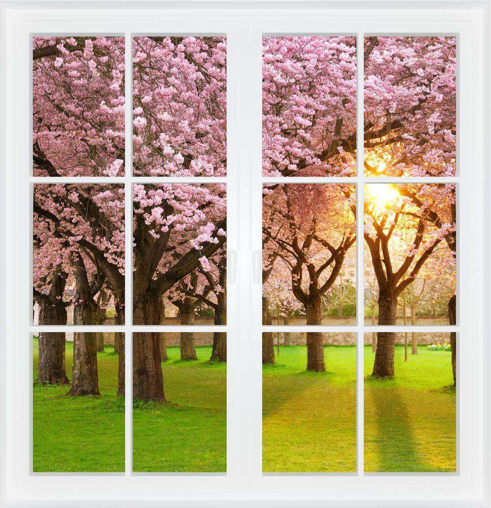 

Фотообои Walldeco Цветущие деревья №w_6105_4496 Гладь