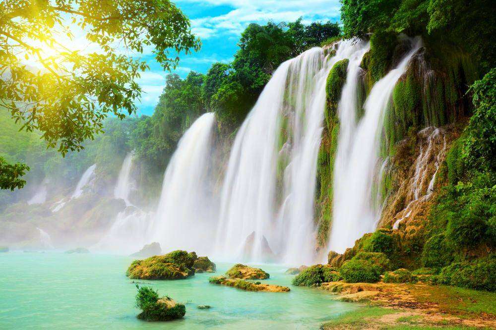 

Фотообои Walldeco Бурлящий водопад в лесу №0341 Базальт