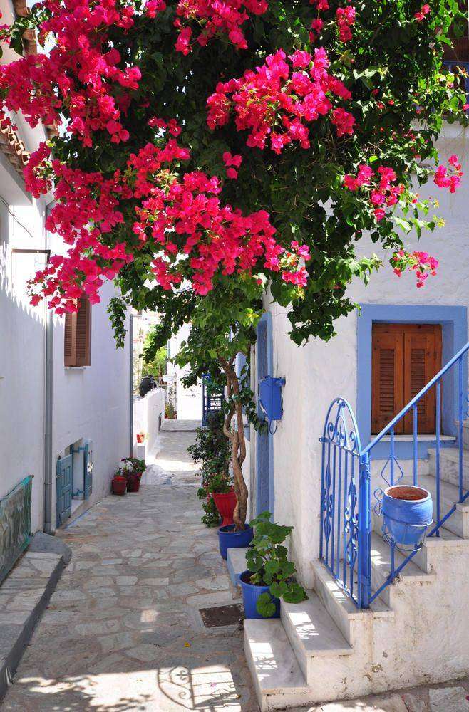 

Фотообои Walldeco Улица в Греции №3598 Базальт