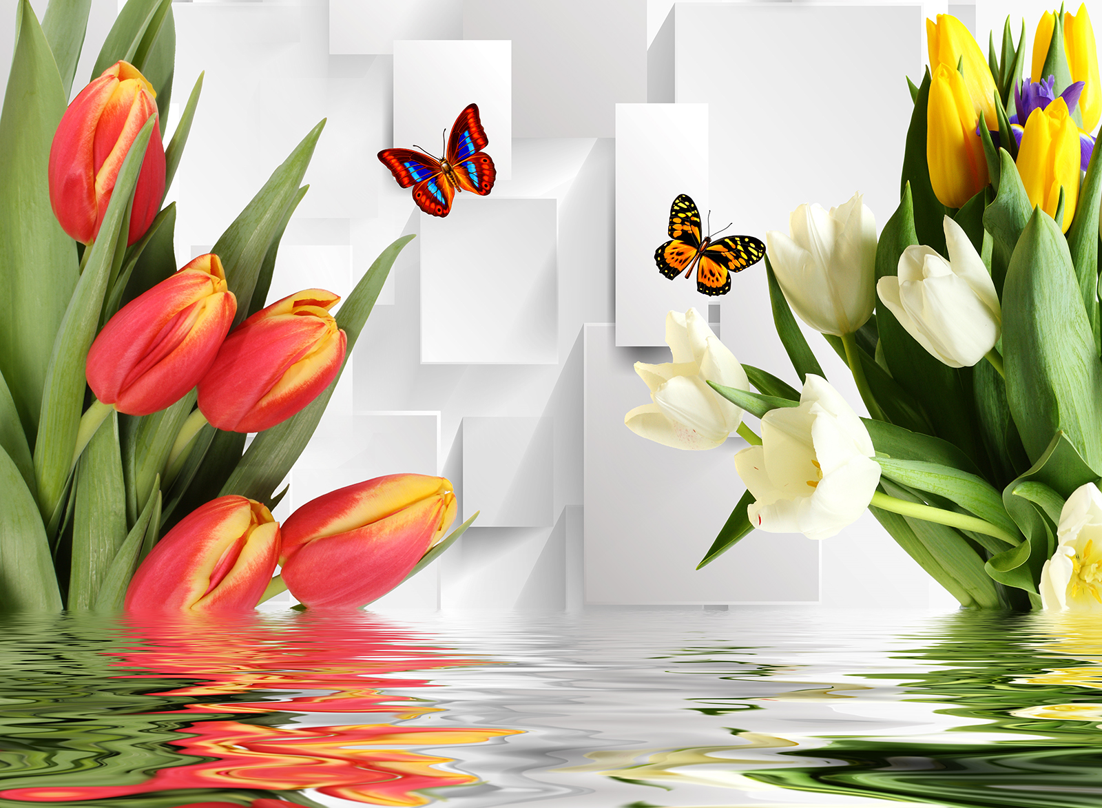 

Фотообои Walldeco Красные, белые и желтые тюльпаны №35053 Фреска