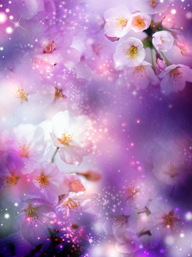 

Фотообои Walldeco Цветущая вишня №30313 Бриз