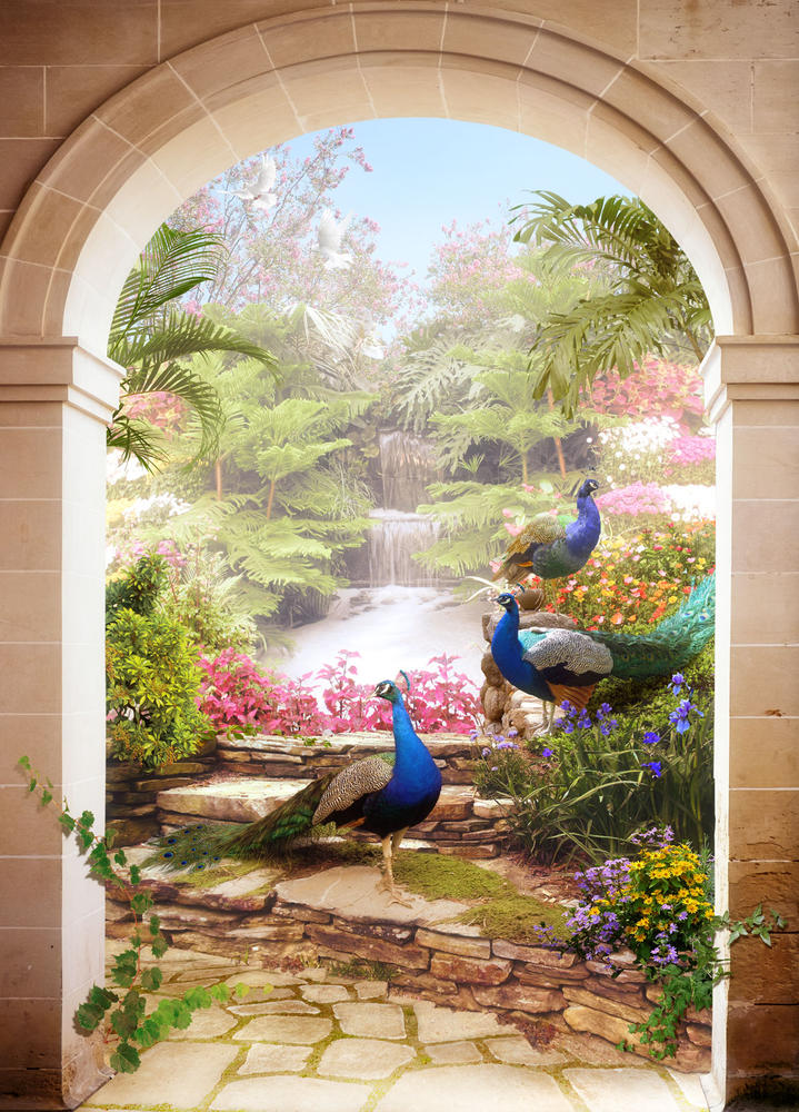 

Фотообои Walldeco Павлины №31208 Деко