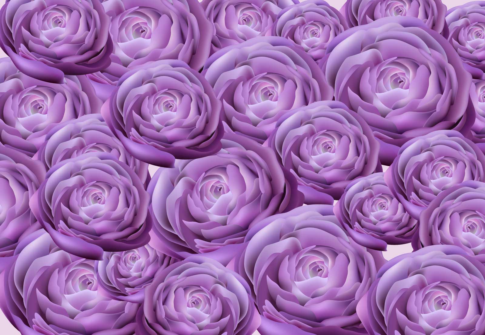 

Фотообои Walldeco Фиолетовые розы №39587 Жаккард