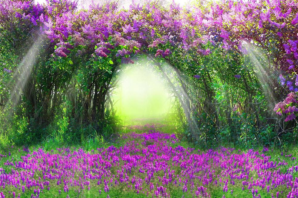 

Фотообои Walldeco Сиреневые цветы №33318 Бриз