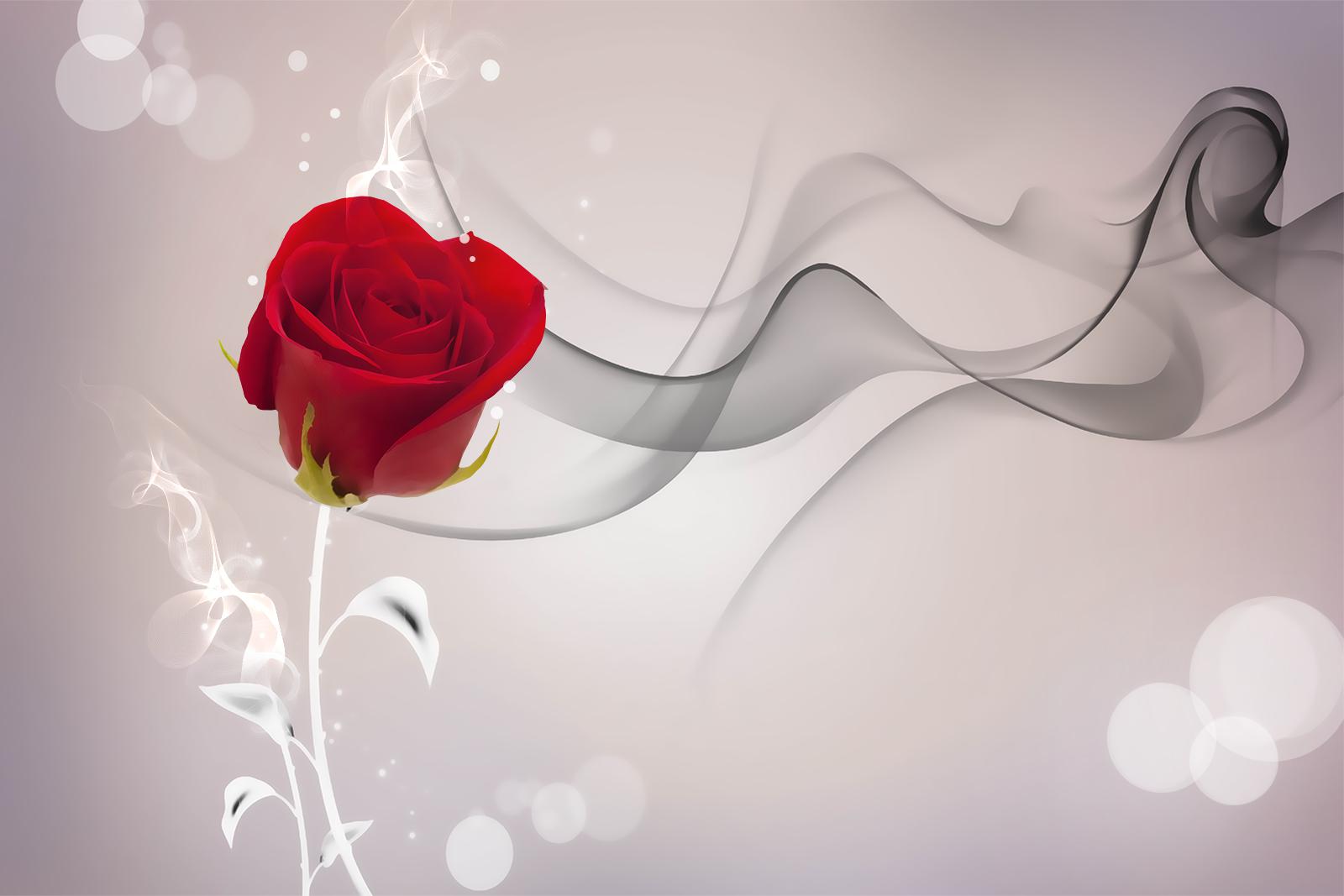 

Фотообои Walldeco Красный бутон №36804 Бриз
