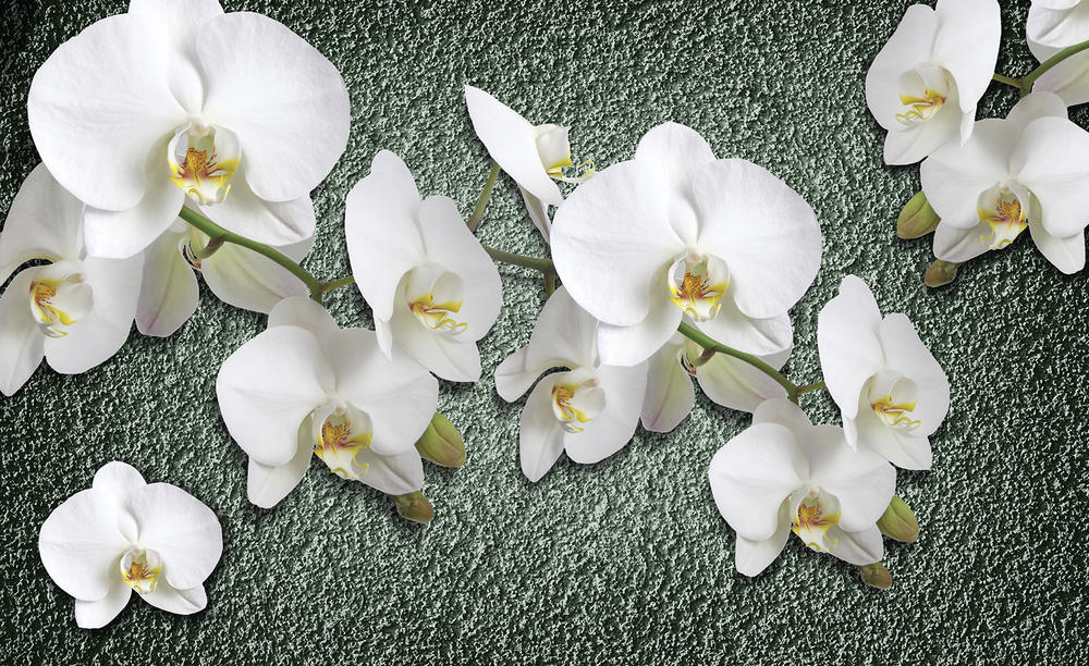 

Фотообои Walldeco 3д цветы на фоне стены №32569 Деко