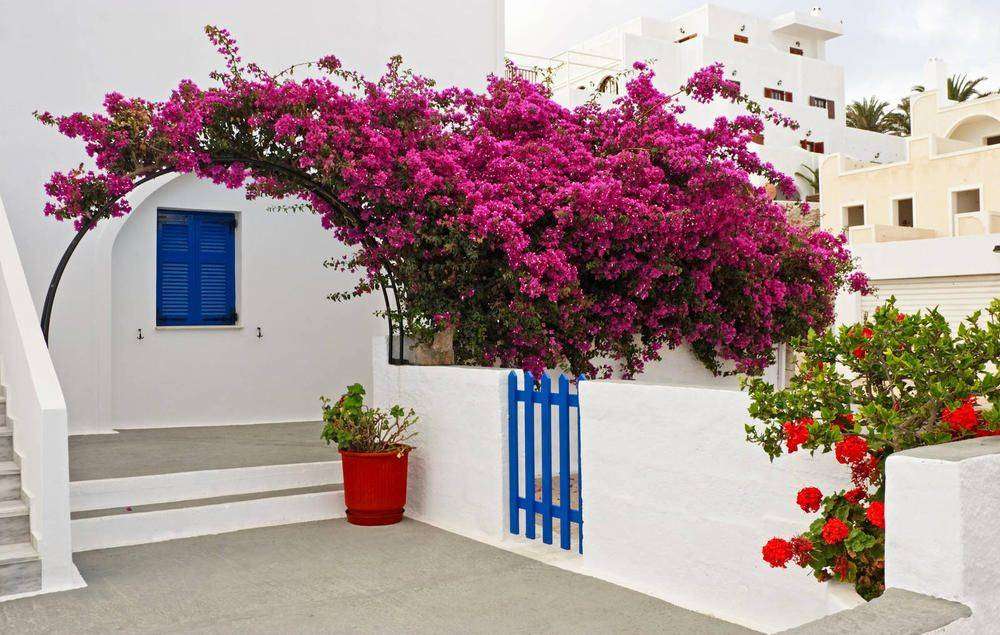 

Фотообои Walldeco Дом в Греции №4896 Гладь