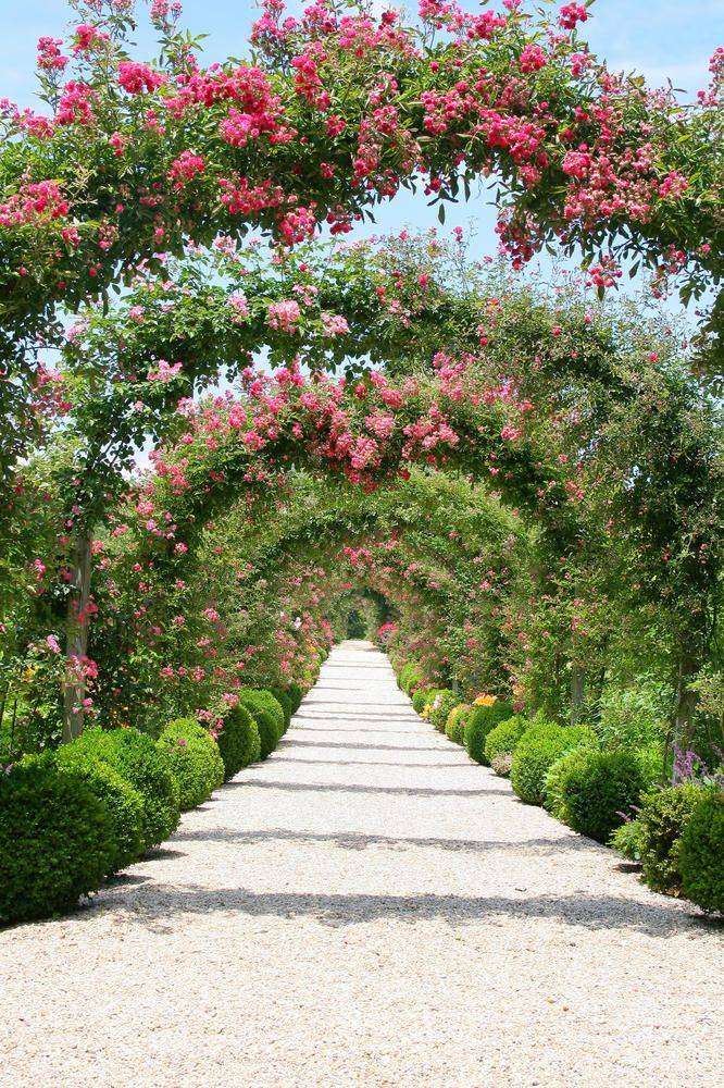 

Фотообои Walldeco Цветущая аллея №2450 Фреска
