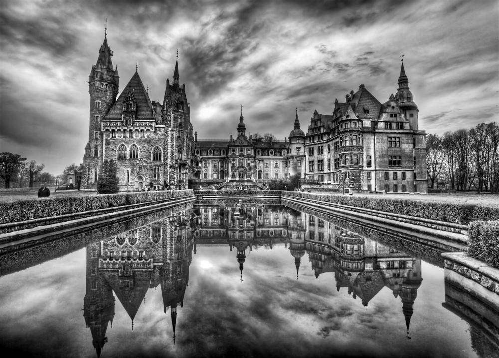 

Фотообои Walldeco Черно-белое №3661 Волокно