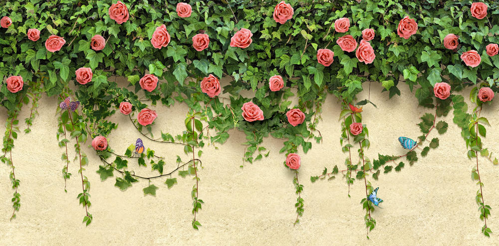 

Фотообои Walldeco Гирлянда роз №30968 Фреска