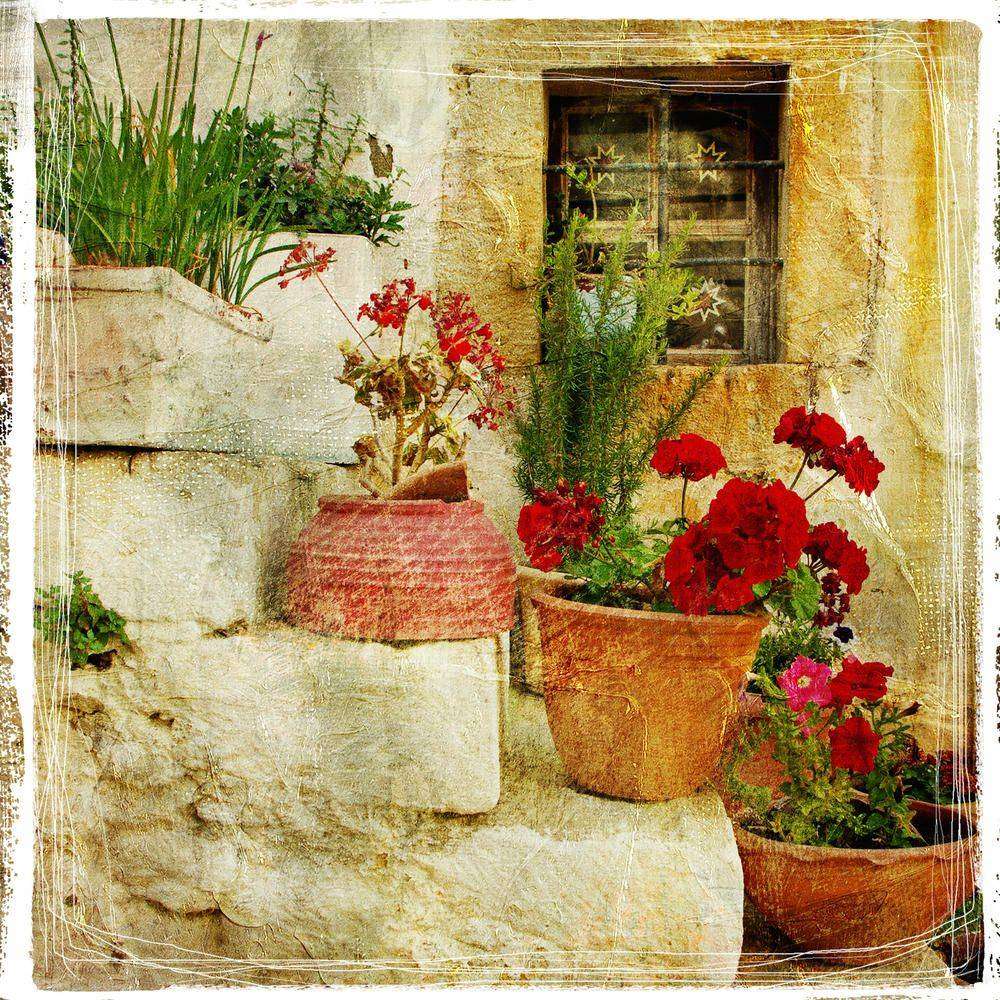 

Фотообои Walldeco Цветы в горшках на ступенях №0059 Лоск