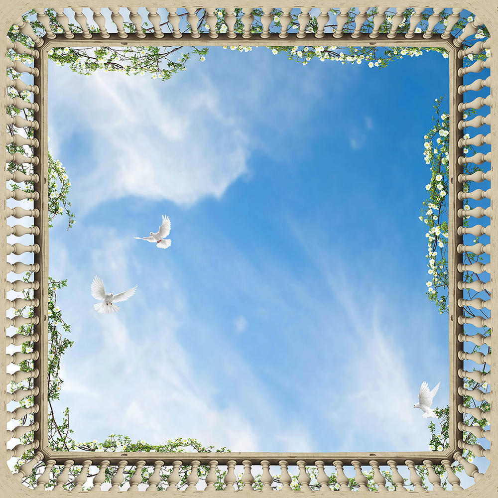 

Фотообои Walldeco Голубки в небе №bur-170 Базальт