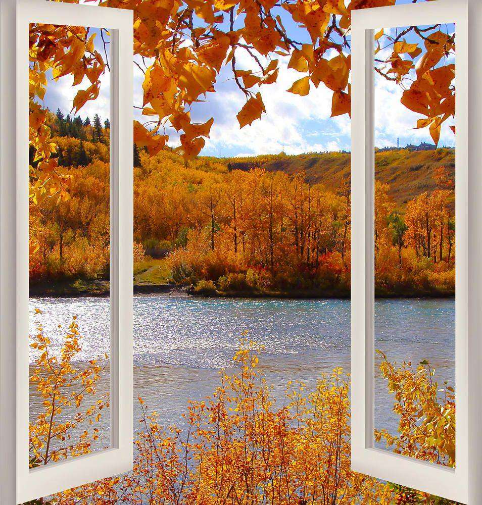

Фотообои Walldeco Золотая осень №w_6117_5085 Лоск