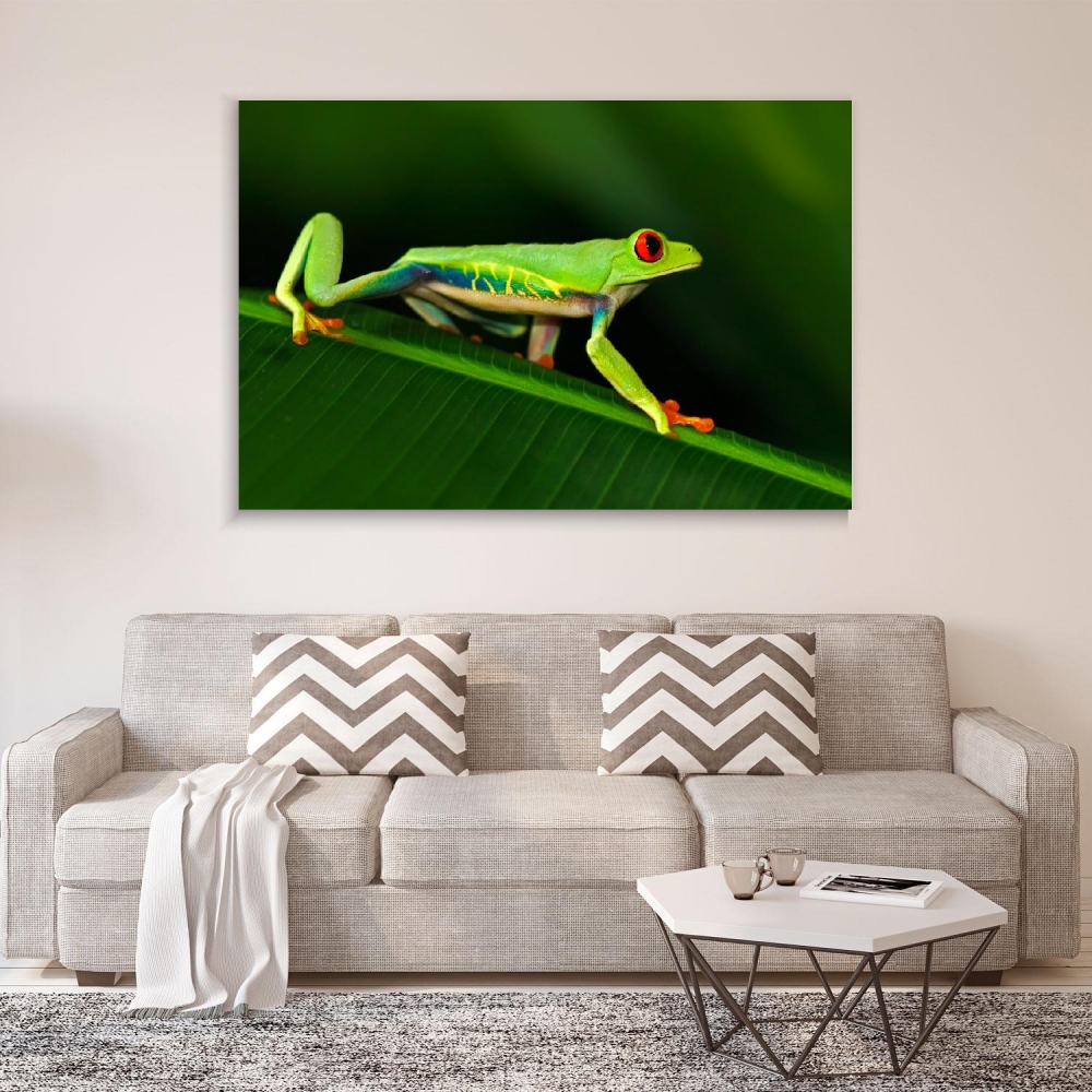 

Картина на холсте Животные Red-Eyed Tree Frog 45х60 см.