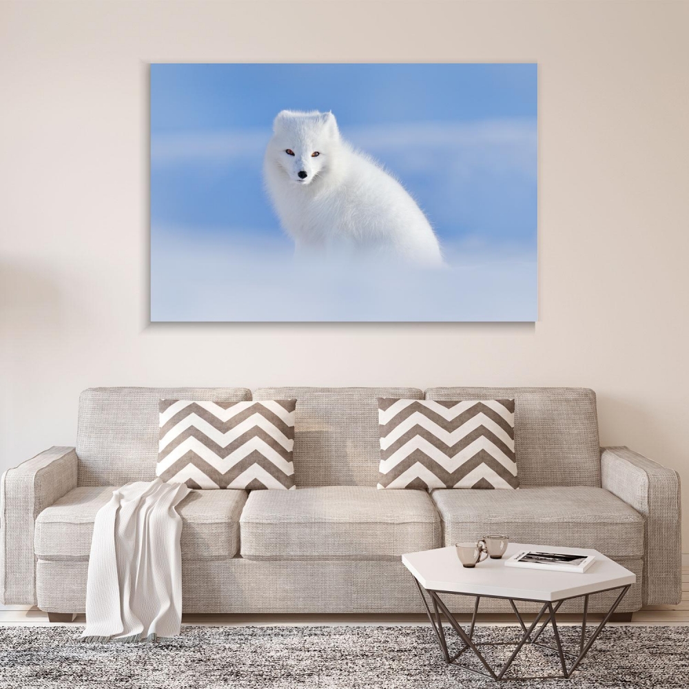 

Картина на холсте Животные Arctic Fox 50х65 см.