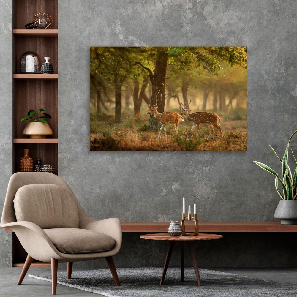 

Картина на холсте Животные Deer Couple In The Forest 45х60 см.