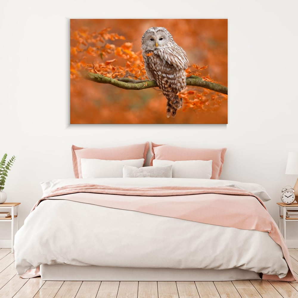 

Картина на холсте Животные Owl Landing In Autumnal Forest 90х120 см.