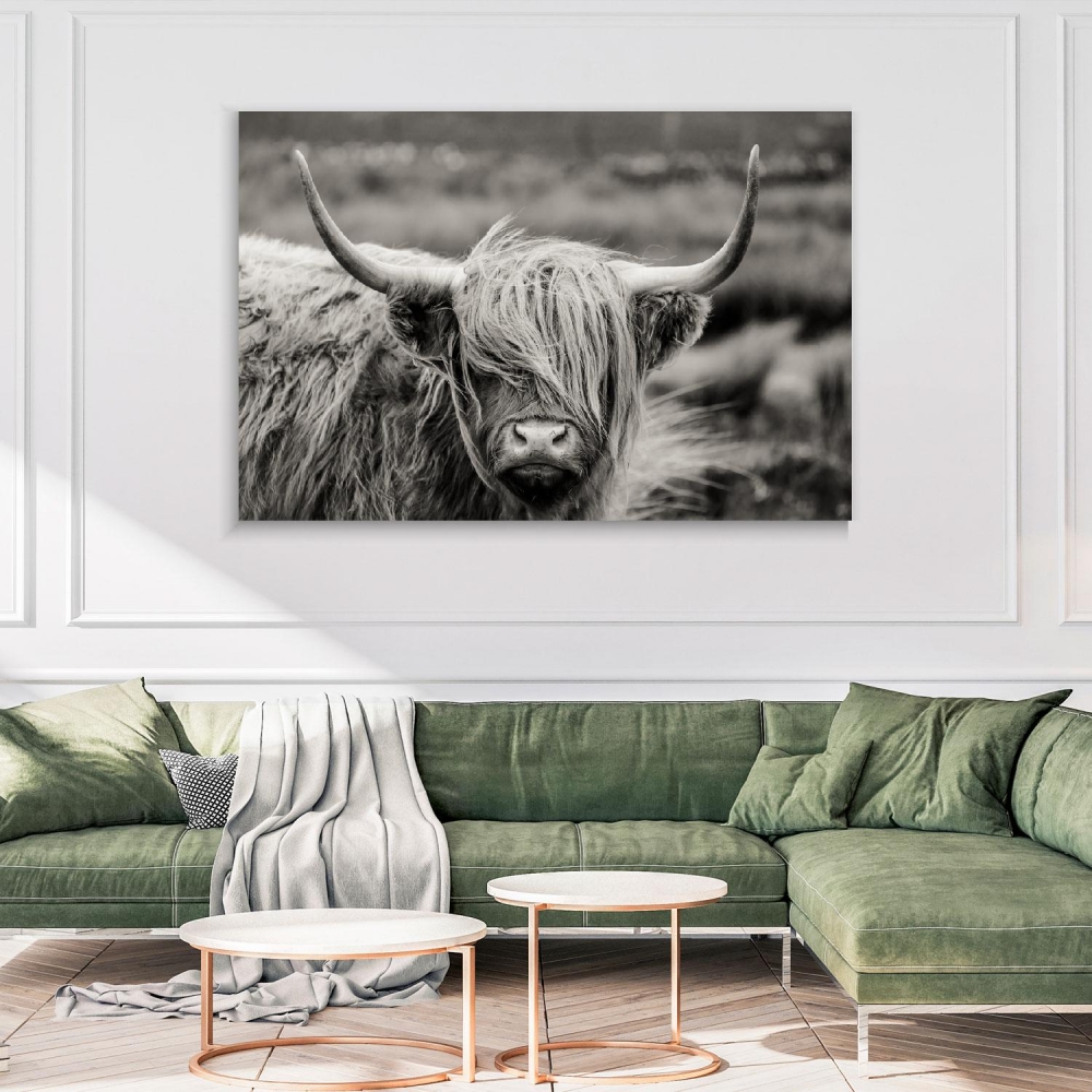 

Картина на холсте Животные Scottish Highland Cow 50х65 см.