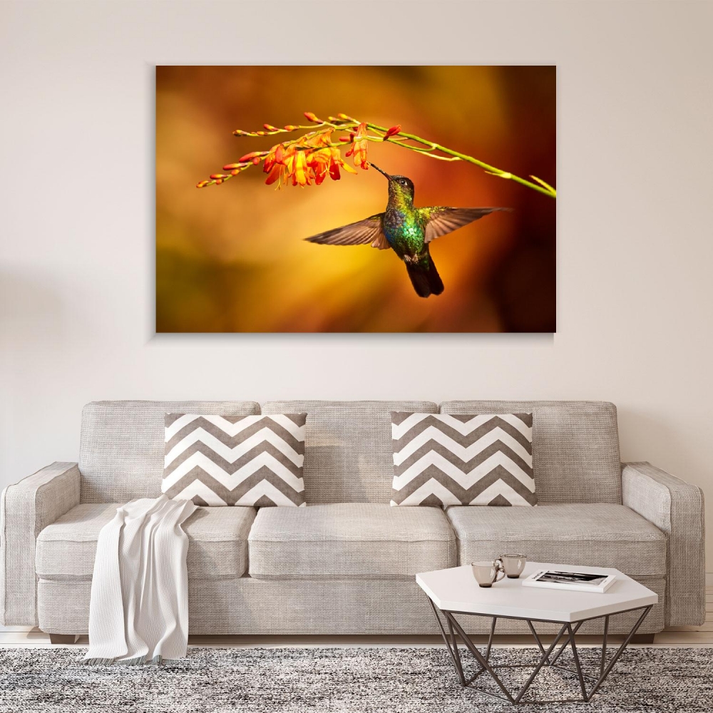 

Картина на холсте Животные Magnificent Hummingbird 75х100 см.