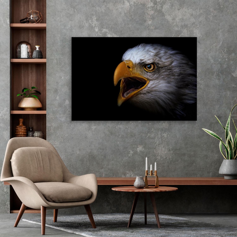 

Картина на холсте Животные Bald Eagle Portrait 40х80 см.