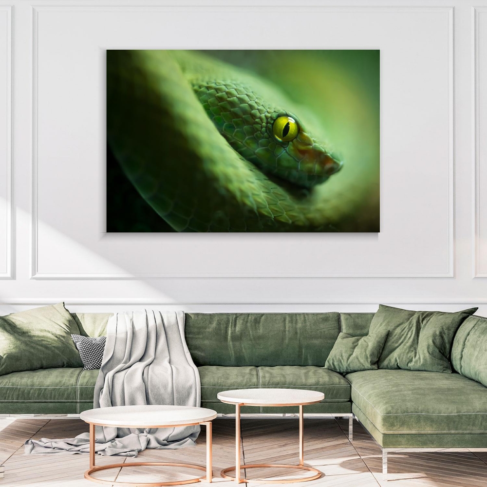 

Картина на холсте Животные Green Mamba Snake 45х60 см.