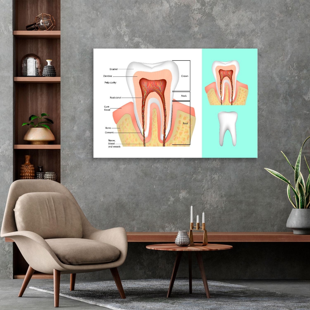 

Картина на холсте Стоматология Tooth Structure 45х60 см.