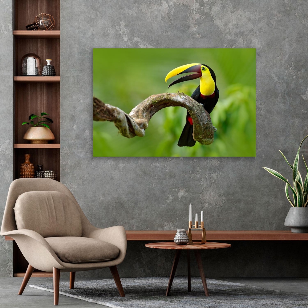 

Картина на холсте Животные Toucan Sits On A Branch 75х100 см.