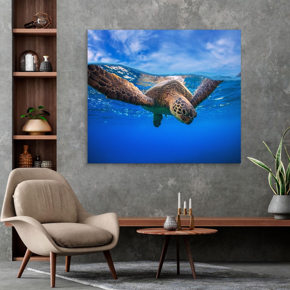 

Картина на холсте Животные Sea Turtle Portrait 80х80 см.