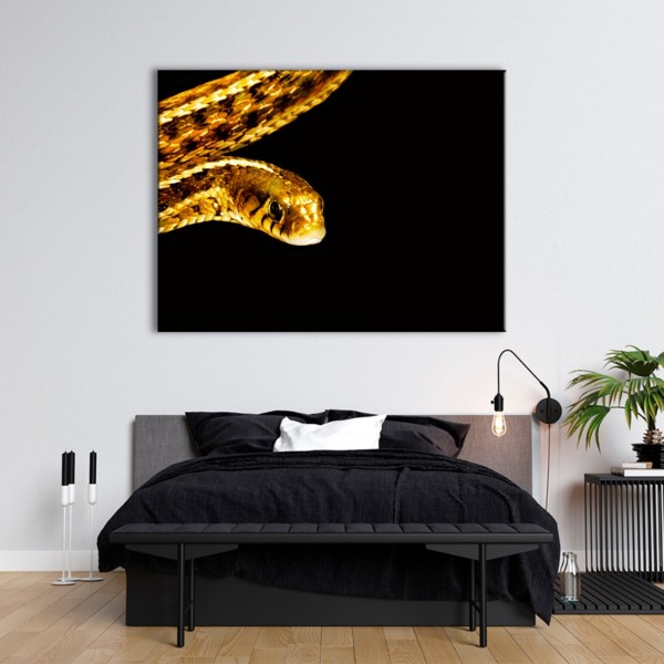 

Картина на холсте Урбан Арт Golden Snake 110х150 см.