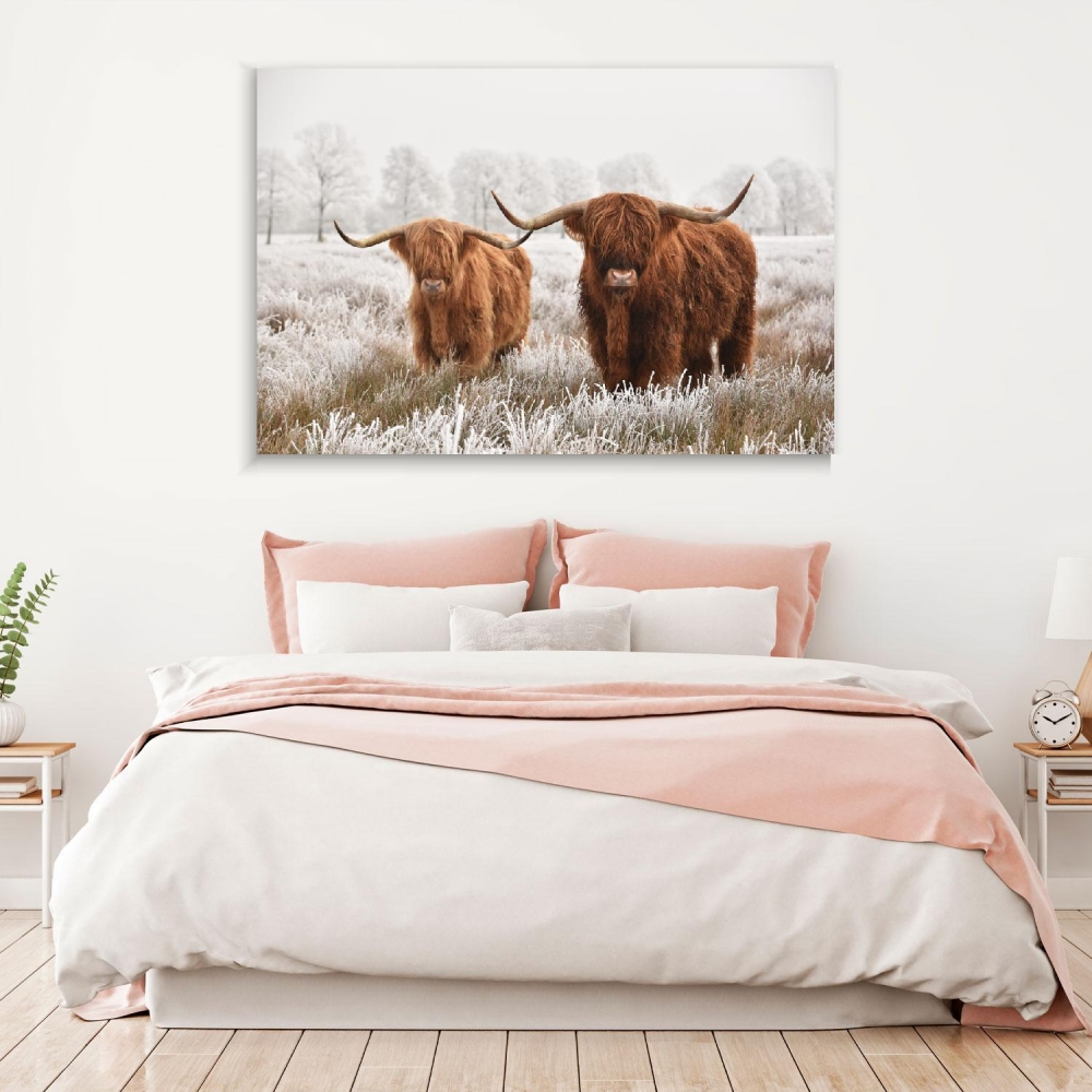 

Картина на холсте Животные Hairy Scottish Highlanders 75х100 см.