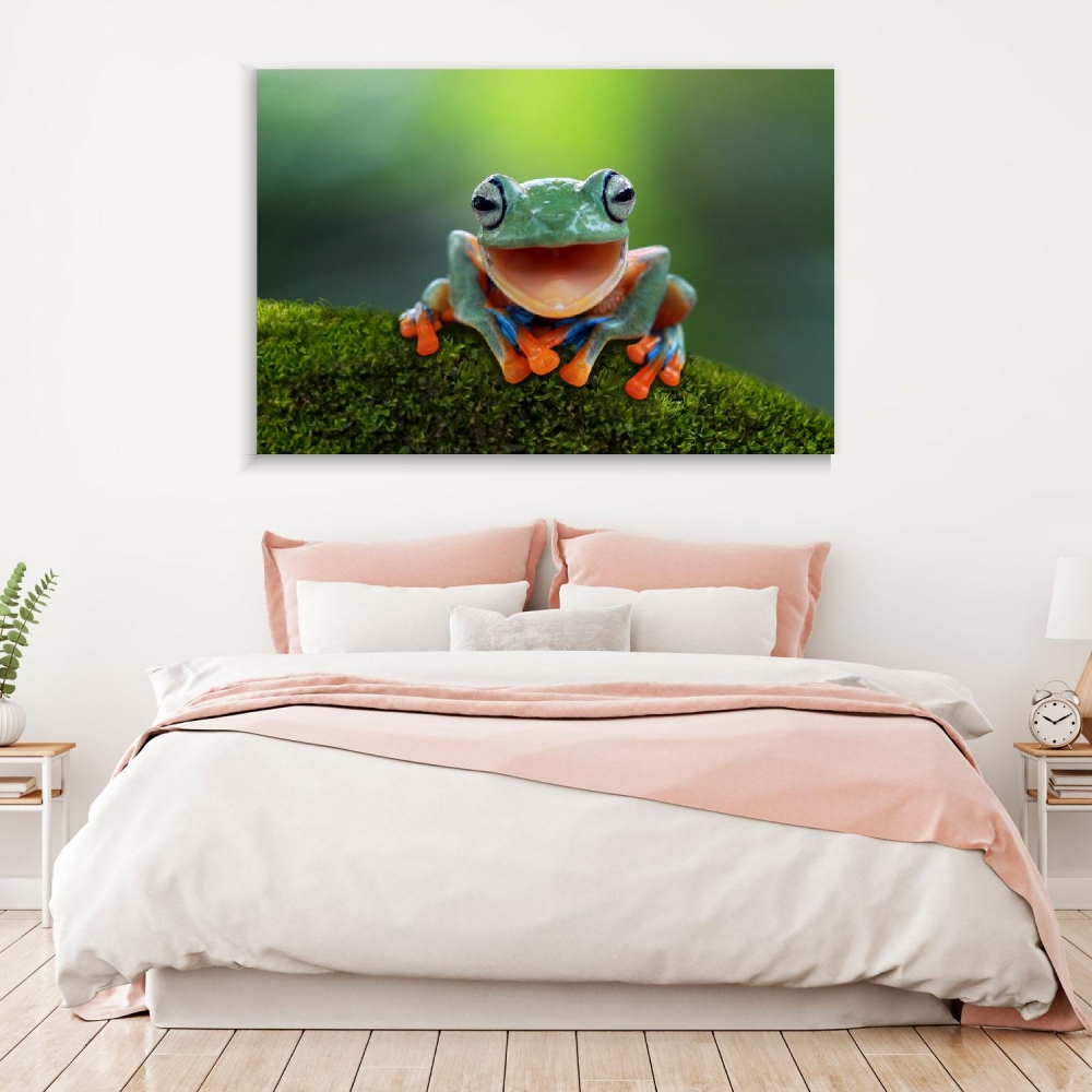 

Картина на холсте Животные Flying Frog 50х65 см.