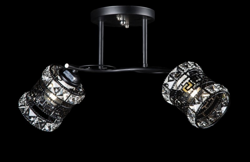 

Люстра с плафонами Ray LM6728/2 (BK) (AN001795)