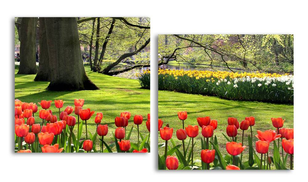 

Модульная картина LaPrint Тюльпаны в парке 100х54 см