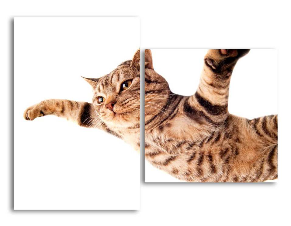 

Модульная картина LaPrint Котик 100х73 см
