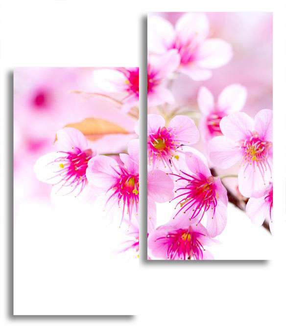 

Модульная картина LaPrint Цветущая сакура 100х116 см