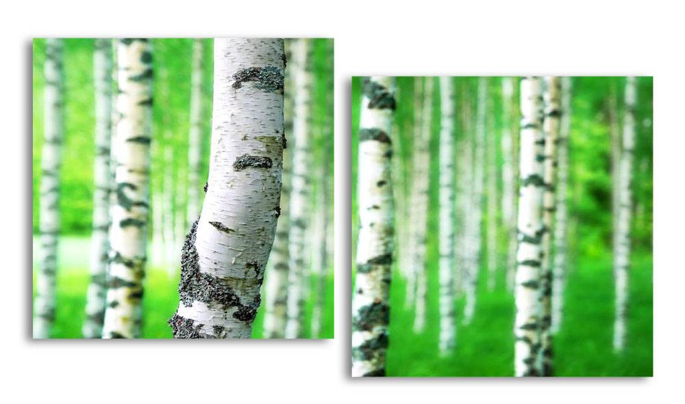 

Модульная картина LaPrint Березовая роща 130х70 см