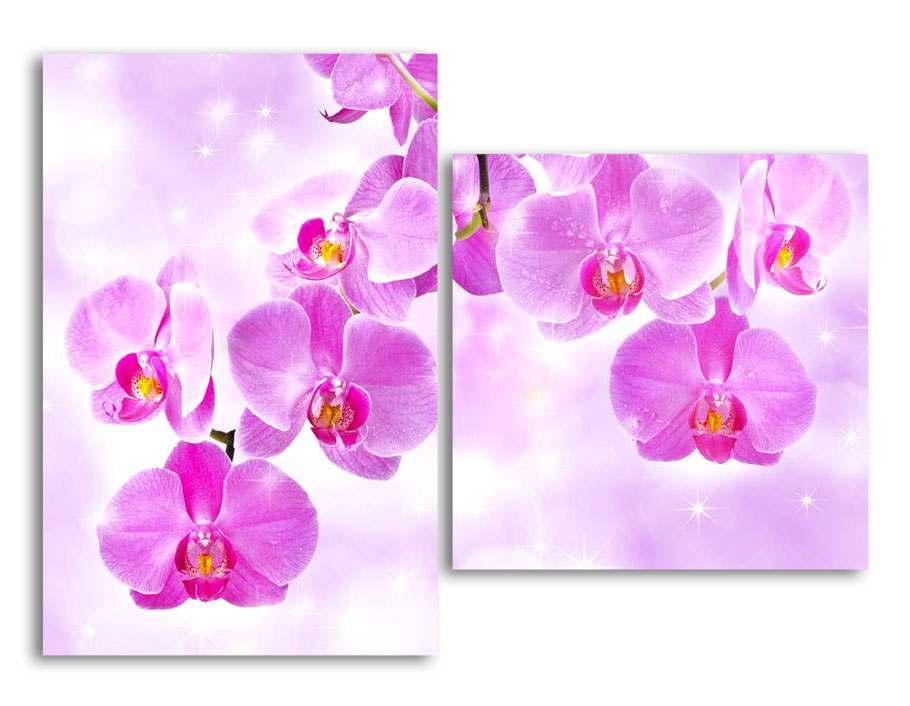 

Модульная картина LaPrint Розовые орхидеи 130х94 см