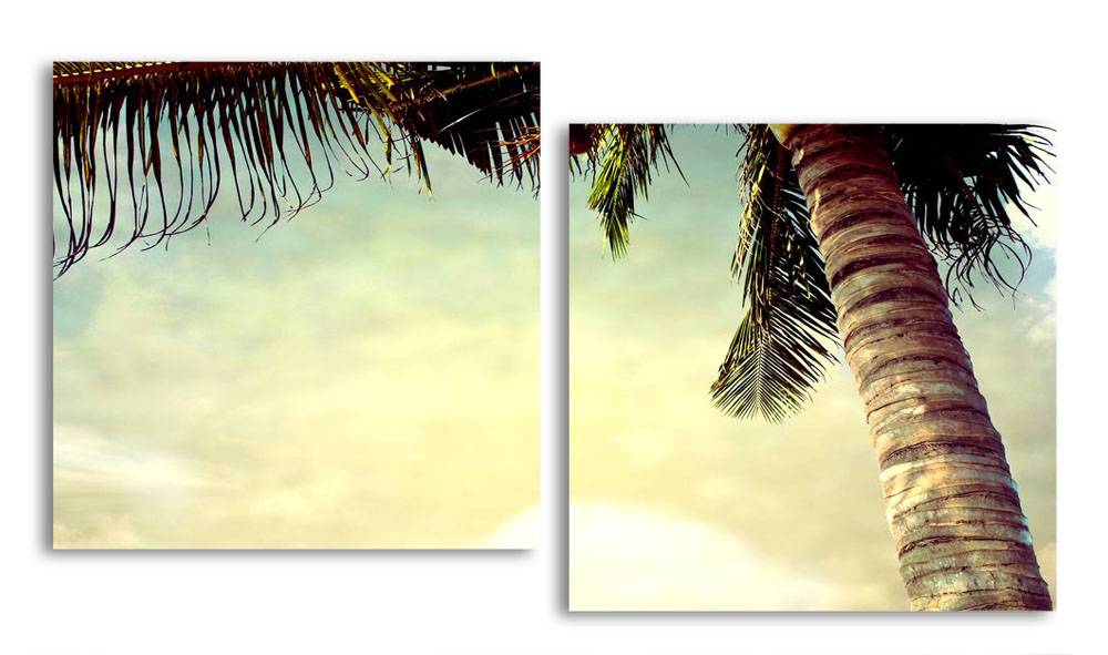 

Модульная картина LaPrint Пальма 130х70 см