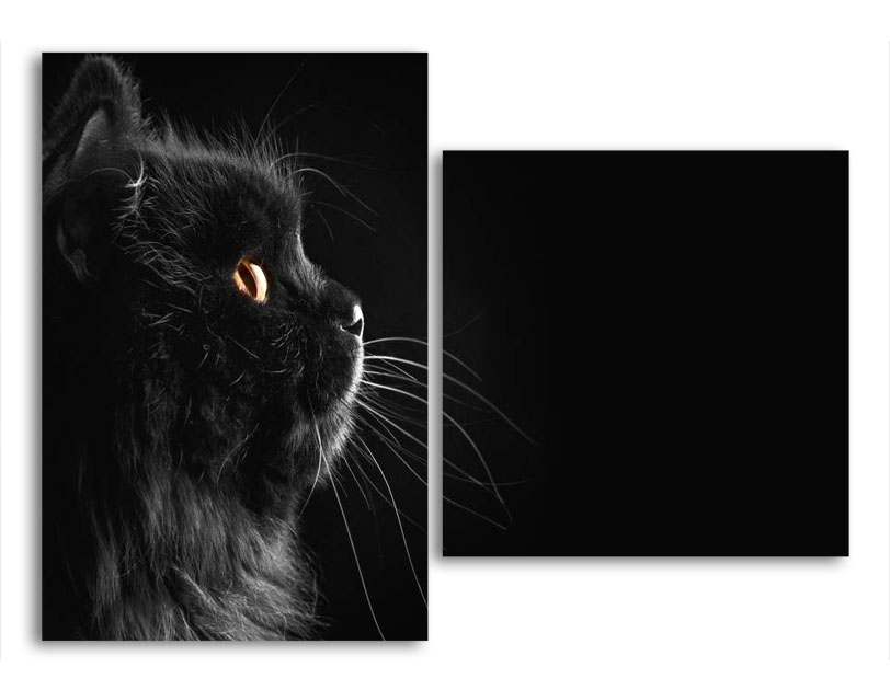 

Модульная картина LaPrint Котик 130х94 см