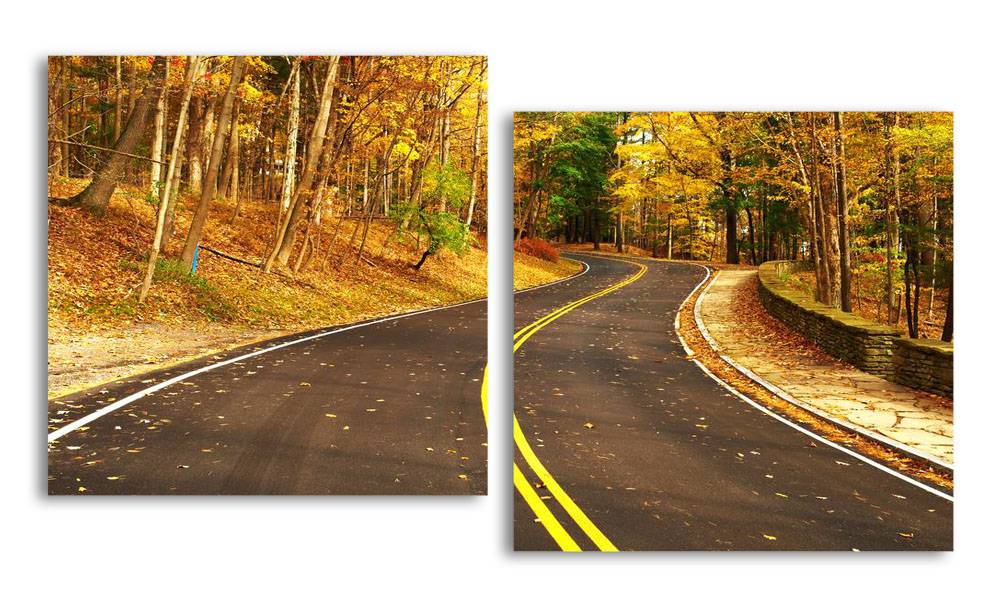

Модульная картина LaPrint Дорога 130х70 см