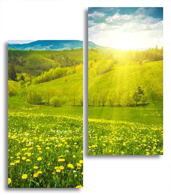 

Модульная картина LaPrint Цветочная долина 130х150 см