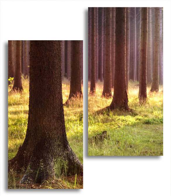 

Модульная картина LaPrint Деревья 130х150 см