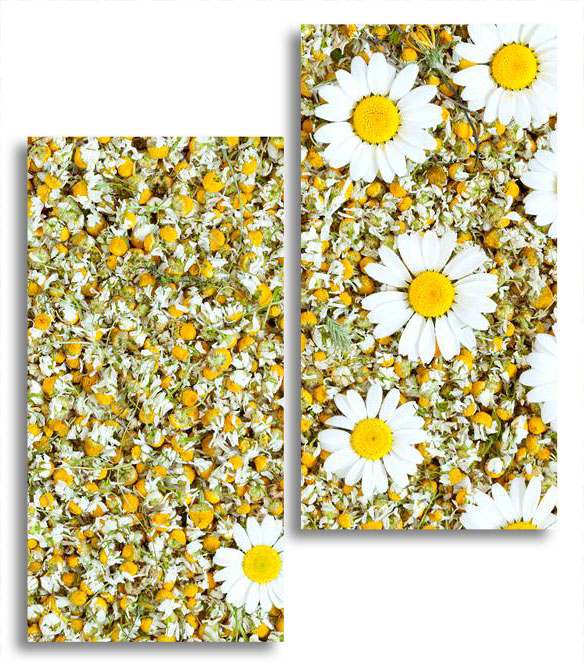 

Модульная картина LaPrint Ромашки 130х150 см