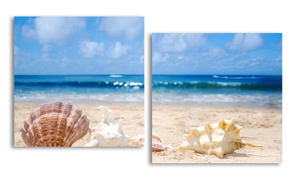 

Модульная картина LaPrint Ракушки 150х82 см
