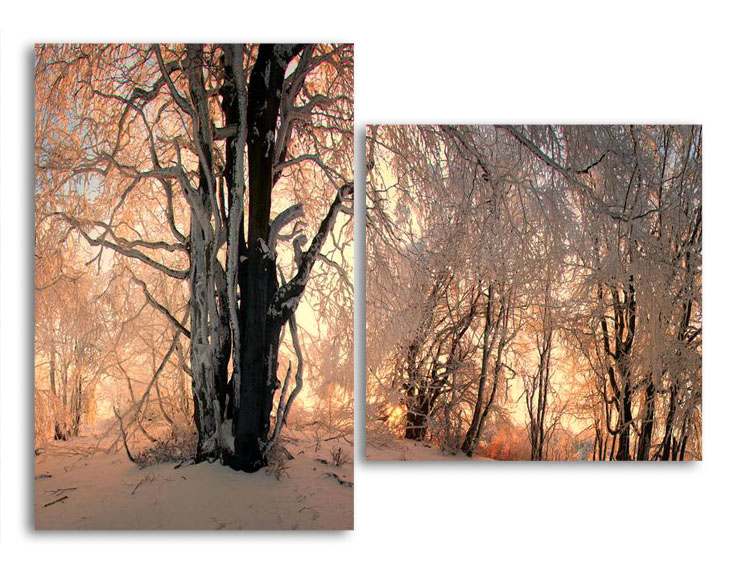 

Модульная картина LaPrint Зимний лес 100х73 см